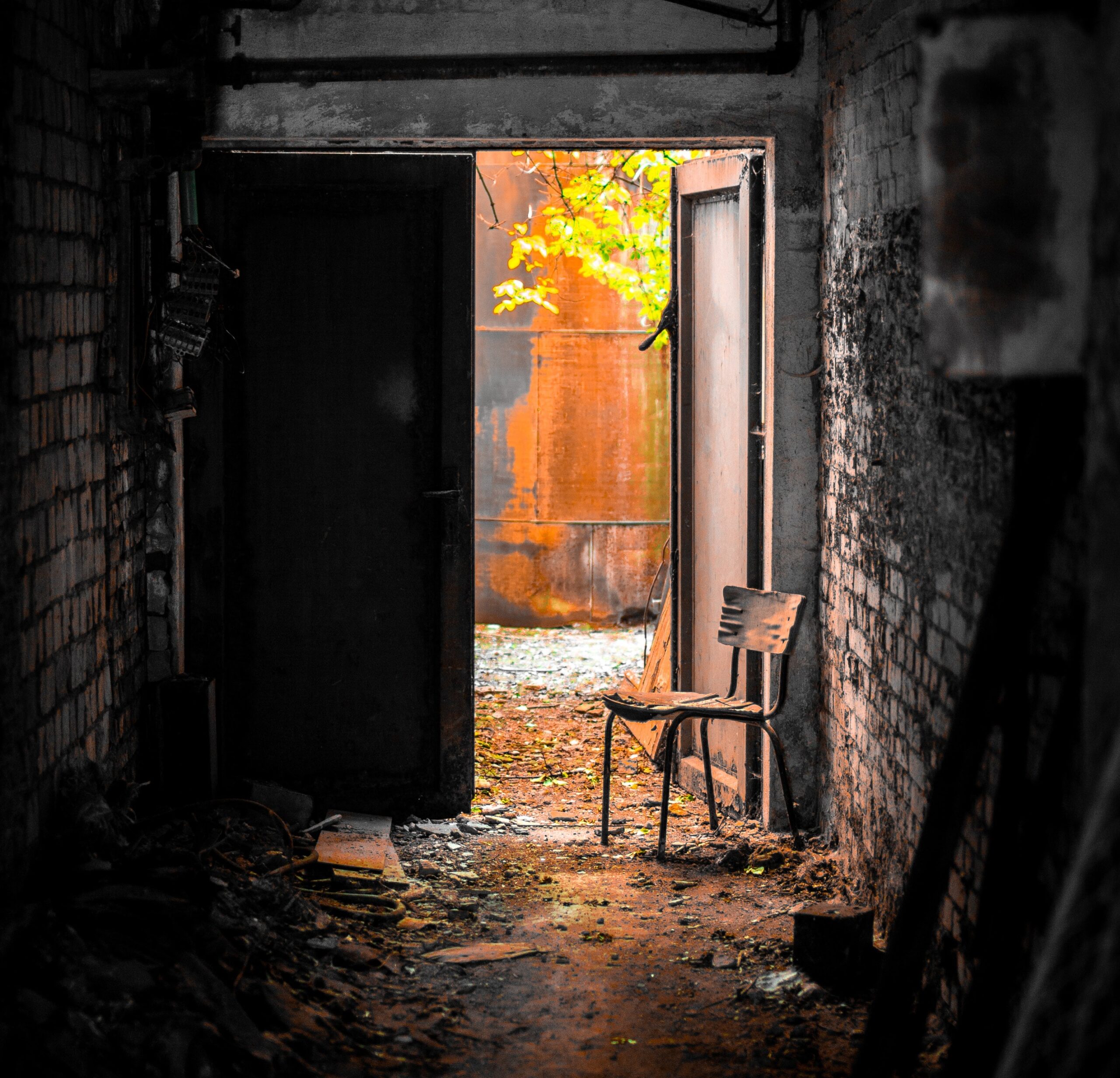 denny-muller-BWH5Ww3VTig-unsplash denny-muller-BWH5Ww3VTig-unsplash